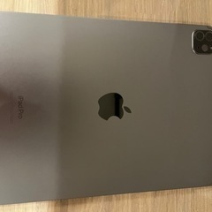 iPad Pro 256GB wifi+cellular スペー...