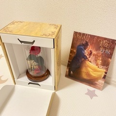 【非売品】美女と野獣/薔薇のオブジェ＋パンフレットボックスセット