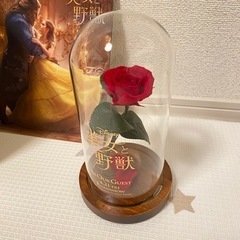 【非売品】美女と野獣/薔薇のオブジェ＋パンフレットボックスセット