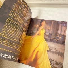 【非売品】美女と野獣/薔薇のオブジェ＋パンフレットボックスセット