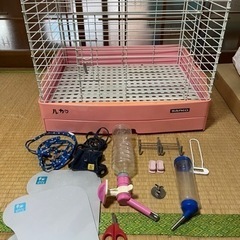 うさぎの飼育セット