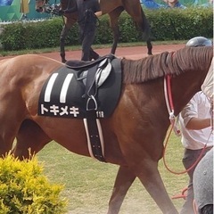 日曜日若しくは月曜日　新潟競馬場で一緒に競馬しませんか⁉️