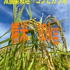 ①令和5年度 減農薬栽培🌾コシヒカリ米❗️           ...