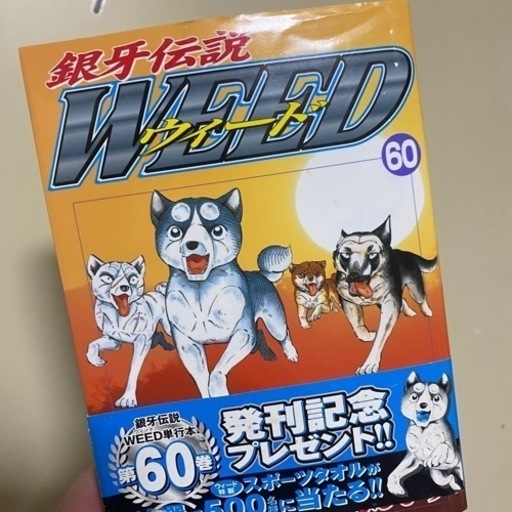 銀河伝説ウィード60完結1冊のみ (レモンサワー) 深井のその他の