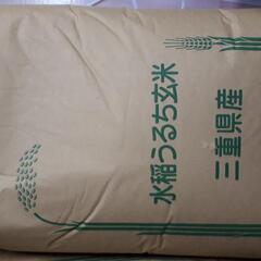 【古米】令和4年産コシヒカリ玄米20㎏