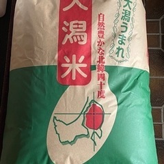 特別栽培米　令和5年産あきたこまち玄米30kg