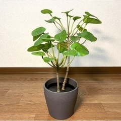 IKEA 人工観葉植物