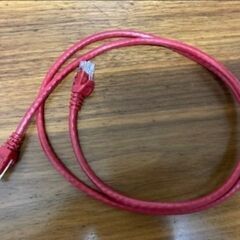 CAT6 LANケーブル 1m 