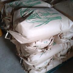 オマケ付新米コシヒカリ３０kg玄米