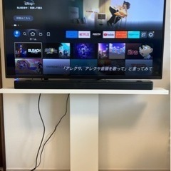65型4K有機ELテレビ フナイ 2018年製 HDD内蔵 FE-65U7010