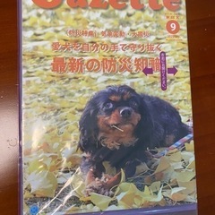 犬の雑誌 無料