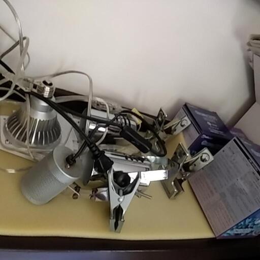 海水魚用関連商品