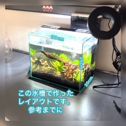 水槽関係一式 引取り限定☆清掃済み☆ | une3.net