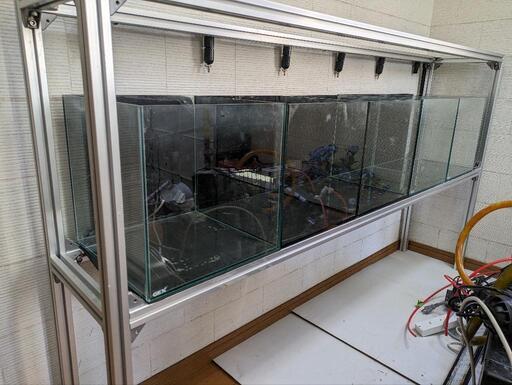 キューブ水槽とエアー配管ラック