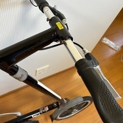 STRIDA
