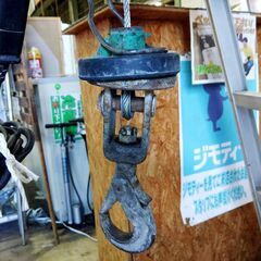 トーヨーコーケン ベビーホイスト 230kg