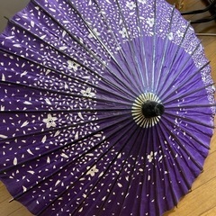 和傘大、紫