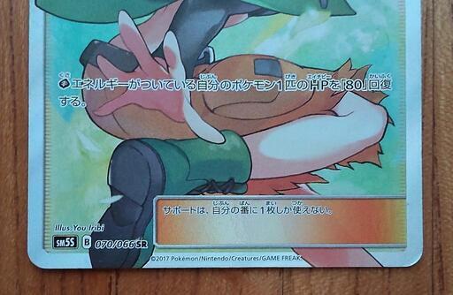 ポケモンカードゲーム ナタネ 最安値/鑑定書付き】ポケモンカード