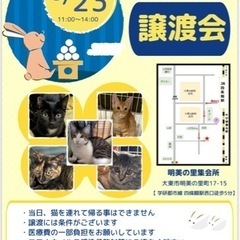 ９月のななしのねこさん譲渡会