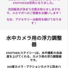 リコー　Staythee