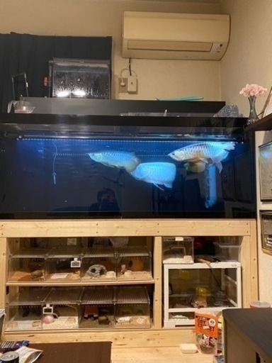 1500水槽