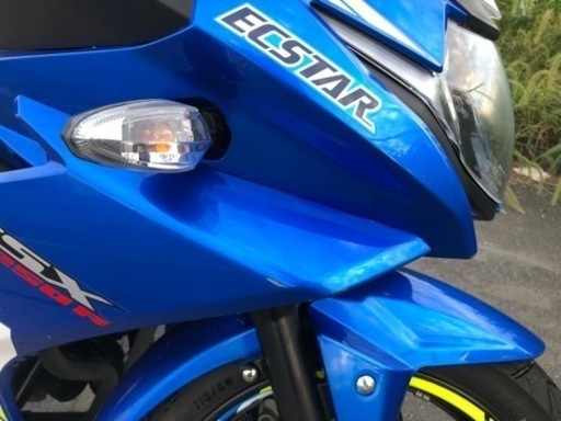 SUZUKI GSX250R 4031km 自賠責令和8年8月 エクスターカラー 【公式通販】