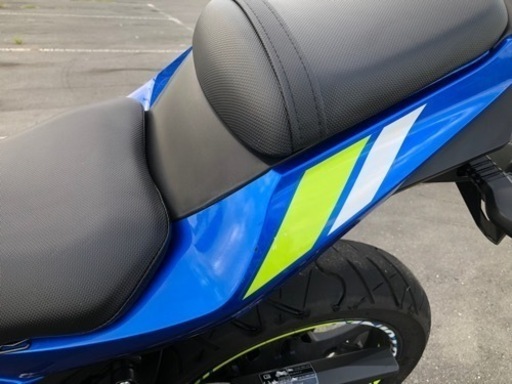 SUZUKI GSX250R 4031km 自賠責令和8年8月 エクスターカラー 【公式通販】