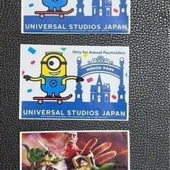 USJ 年パス　ケース