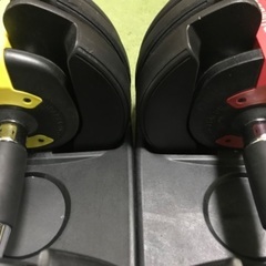 ダンベル 可変 24kg×2個-BIOPTRON(ビオプトロン) 4/15で投稿終了