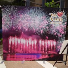 WE LOVE NAMIE HANABI SHOWチケット