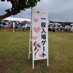 WE LOVE NAMIE HANABI SHOWチケット