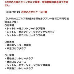 シャトレーゼゴルフ　チケット1枚 ③