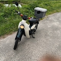 ホンダ　リトルカブ50cc 