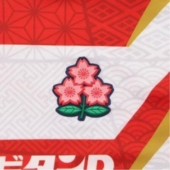 CANTERBURY カンタベリー　ラグビー日本代表ジャージユニフォーム　XLサイズ　2枚