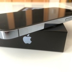 iPhone 13 Pro シエラブルー 512GB SIMフリー