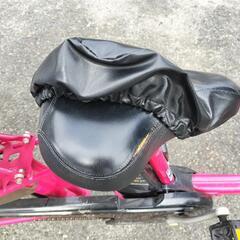 《引取決定》可愛いピンクです!