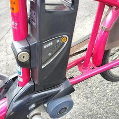 《引取決定》可愛いピンクです!