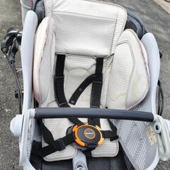 《引取決定》可愛いピンクです!