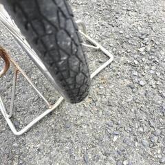 《引取決定》可愛いピンクです!