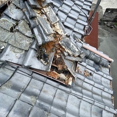 福岡県久留米市にて古民家（築75年）の屋根の棟破損の調査