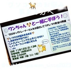 11月12日(日) ワンちゃんのしつけ教室