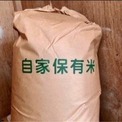 【玄米】千葉県産コシヒカリ【３０ｋｇ】