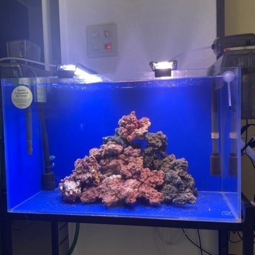 ※ゲリラセール　海水魚飼育セット