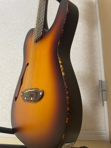 エレアコ・ギター SCHECTER OL-FL CV-210E SPOTにOL-FL/SNTLが掲載され