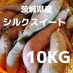 シルクスイート 10kg 土付き サイズ不選別 焼き芋 干し芋 ...