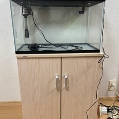 60センチ水槽、水槽台　本日の取り引きの方5000円