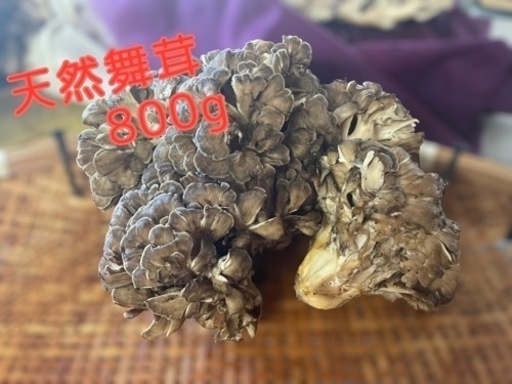 天然舞茸800g