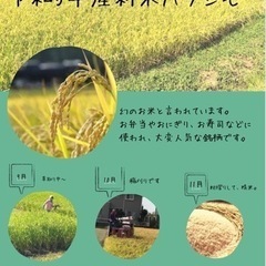 【ネット決済】令和5年 10月収穫  ハツシモ