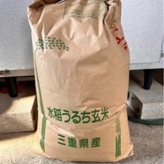 令和4年度　コシヒカリ玄米　旧米　受け渡し者決定しています。
