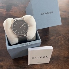 SKAGEN メンズ 腕時計